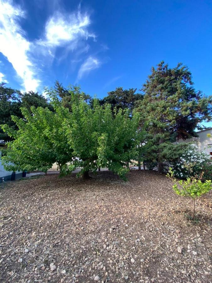 La Casa Del Gelso Daire Tonnara di Bonagia Dış mekan fotoğraf