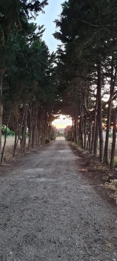 La Casa Del Gelso Daire Tonnara di Bonagia Dış mekan fotoğraf