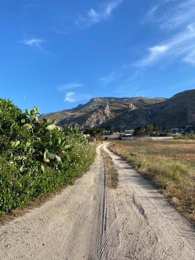 La Casa Del Gelso Daire Tonnara di Bonagia Dış mekan fotoğraf