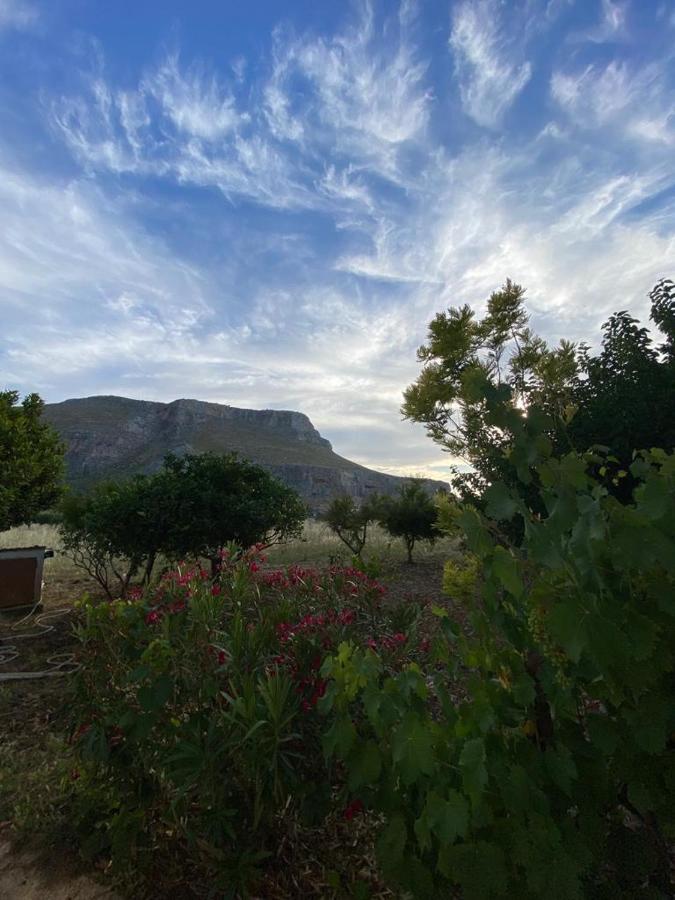 La Casa Del Gelso Daire Tonnara di Bonagia Dış mekan fotoğraf