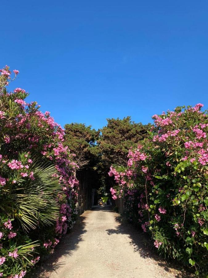 La Casa Del Gelso Daire Tonnara di Bonagia Dış mekan fotoğraf